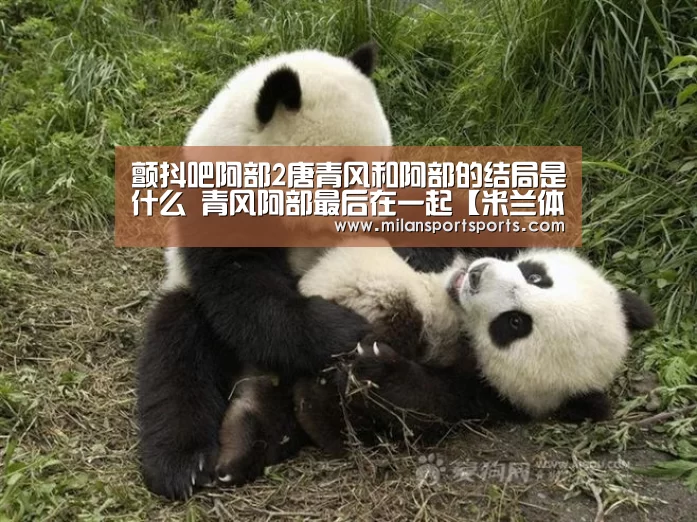 颤抖吧阿部2唐青风和阿部的结局是什么 青风阿部最后在一起【米兰体育网页版】(图1) 米兰体育网页版