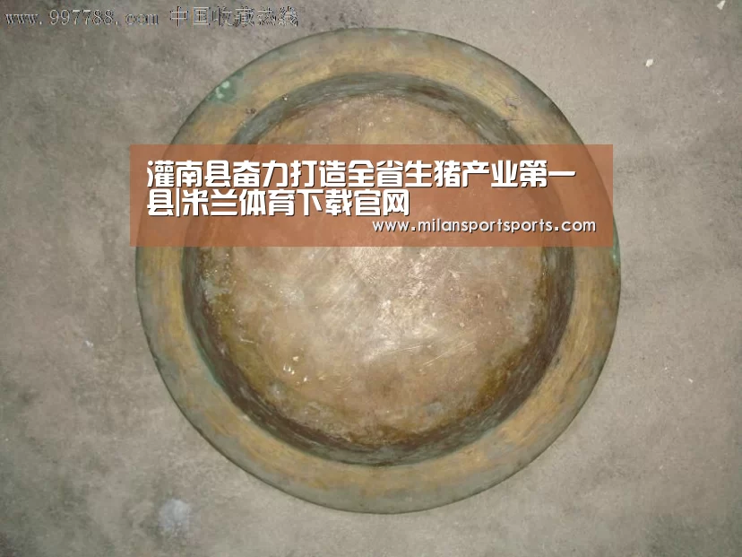 灌南县奋力打造全省生猪产业第一县|米兰体育下载官网(图1) 米兰体育下载地址