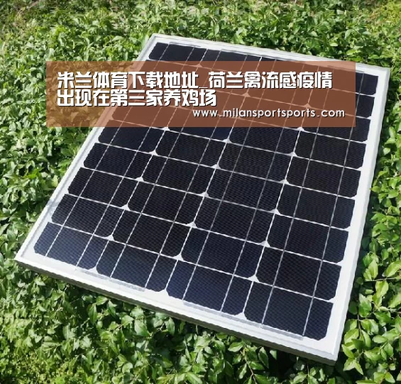 米兰体育下载地址_荷兰禽流感疫情出现在第三家养鸡场(图1) 米兰体育下载官网