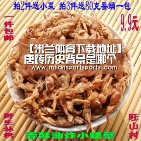 【米兰体育下载地址】唐砖历史背景是哪个朝代 唐砖原著是架空小说吗(图2) 米兰体育下载地址